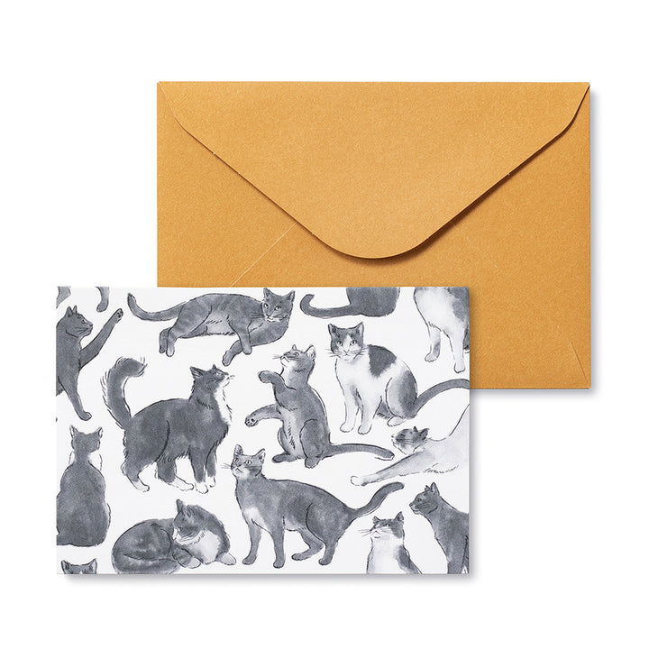 NOTE CARDS BOXED CAT THEME APPRECIATION