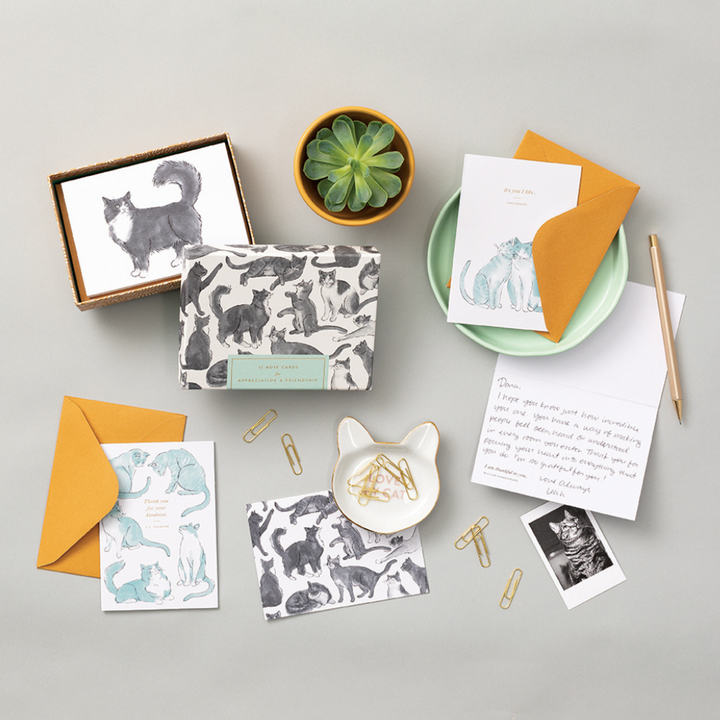 NOTE CARDS BOXED CAT THEME APPRECIATION