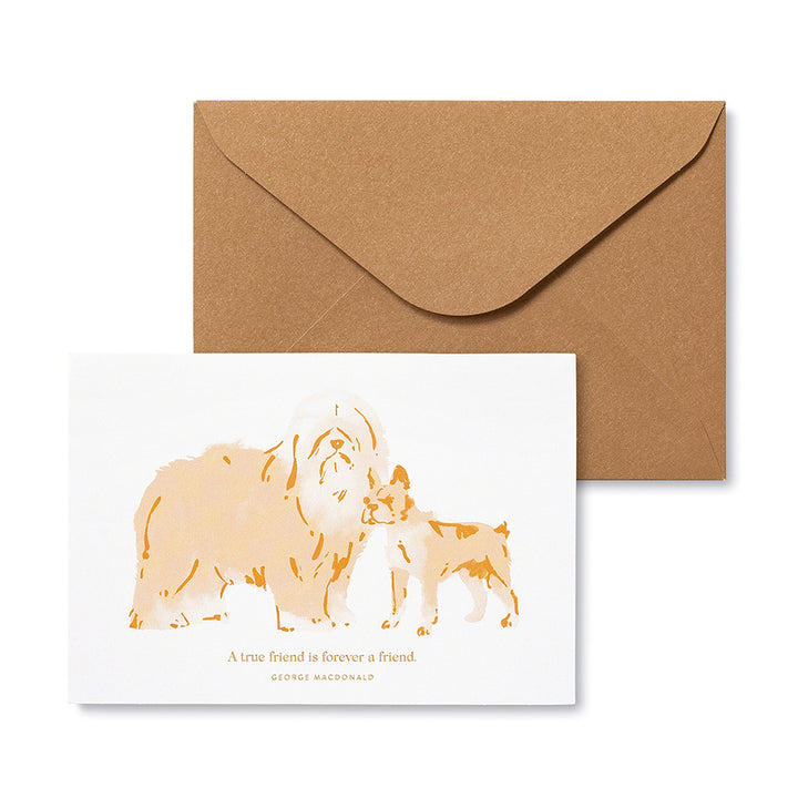 NOTE CARDS BOXED DOG THEME APPRECIATION