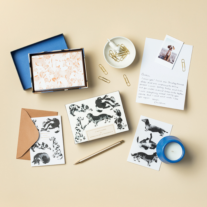 NOTE CARDS BOXED DOG THEME APPRECIATION