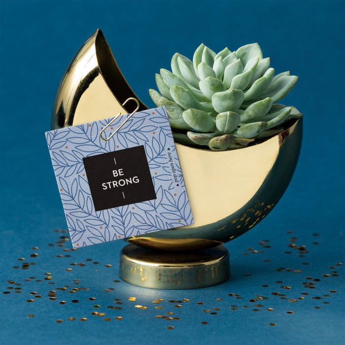 THOUGHTFULLS BE STRONG