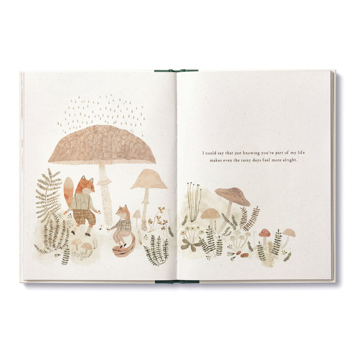 GIFT BOOK MORE THAN A LITTLE