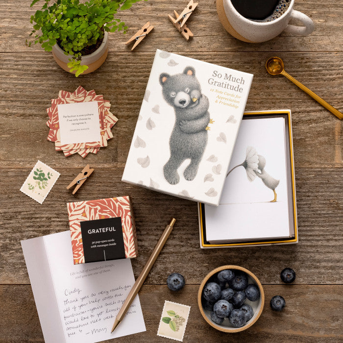 BOXED NOTE CARDS - SO MUCH GRATITUDE