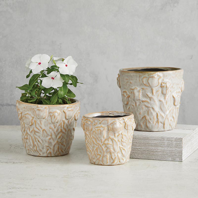 ceramic planter pots nz White Ceramic Pot - MED - Planters & Pots