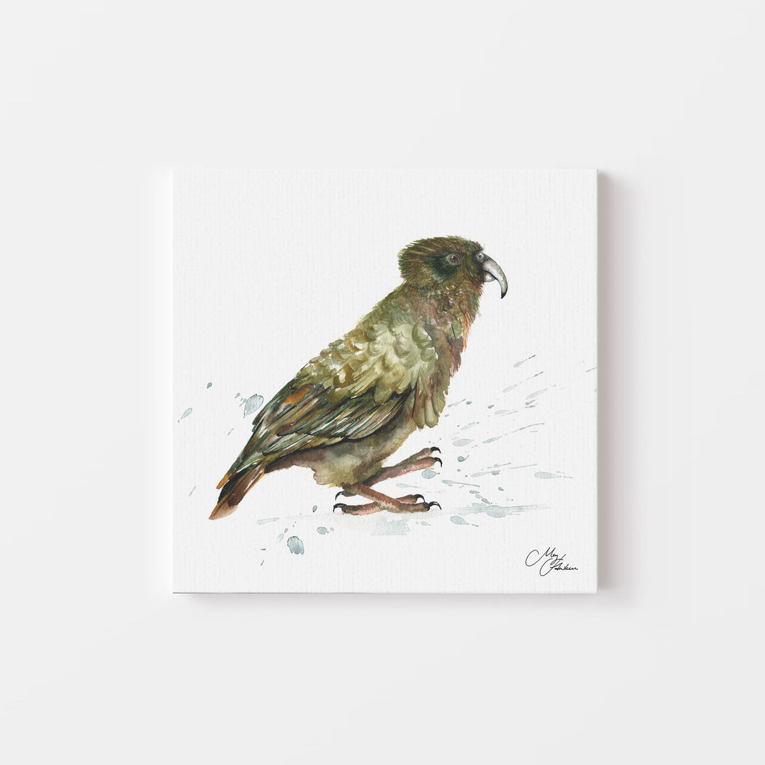 Kea Watercolour Canvas