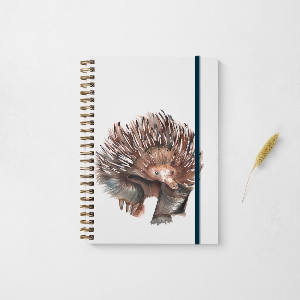 Echidna Design Notebook