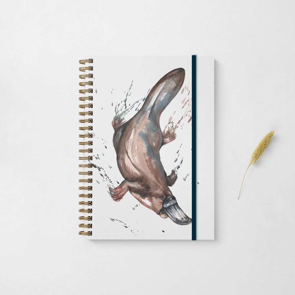 Platypus Design Notebook