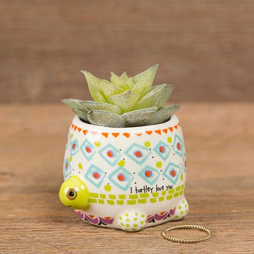 SUCCULENT CRITTER TURTLE