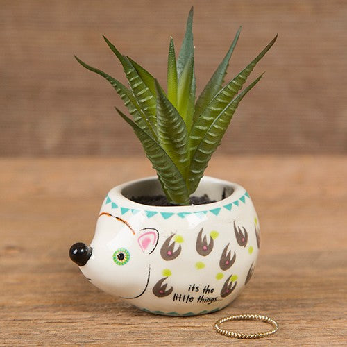 SUCCULENT CRITTER HEDGEHOG