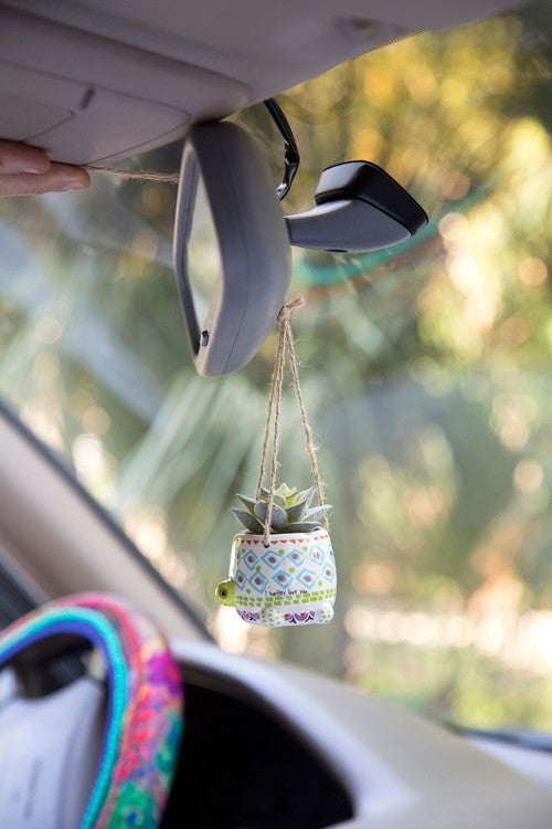 SUCCULENT CRITTER HANGING TURTLE