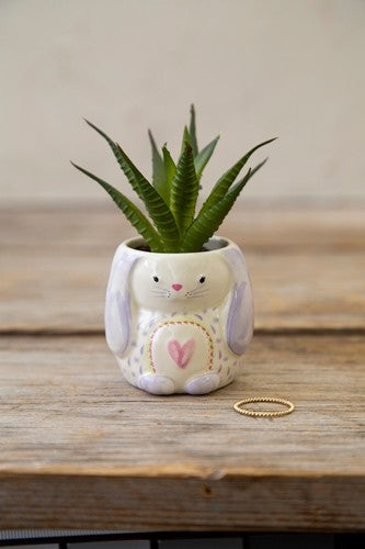 Succulent Critter Bunny