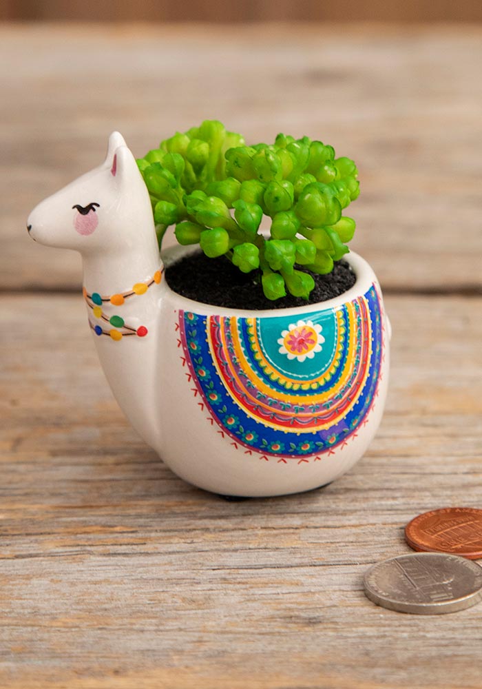 SUCCULENT CRITTER GREY LLAMA