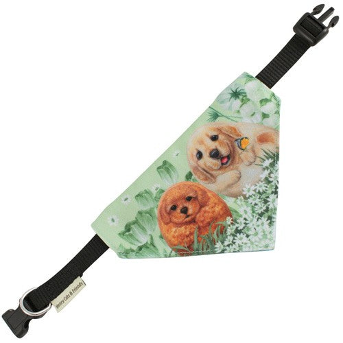 PET SCARF SMALL HIDE & SEEK
