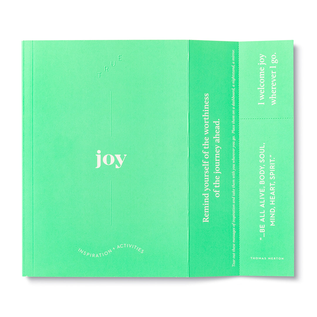 GUIDED JOURNAL TRUE SERIES JOY