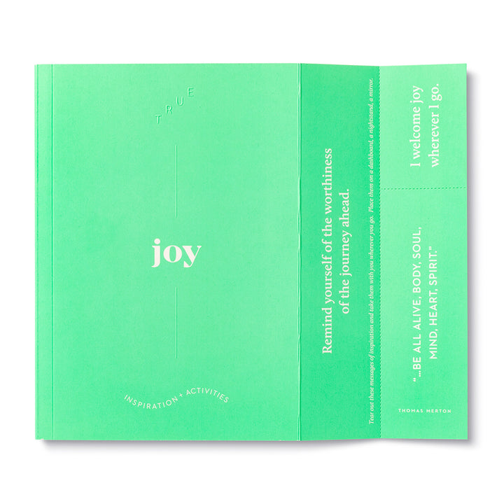 GUIDED JOURNAL TRUE SERIES JOY