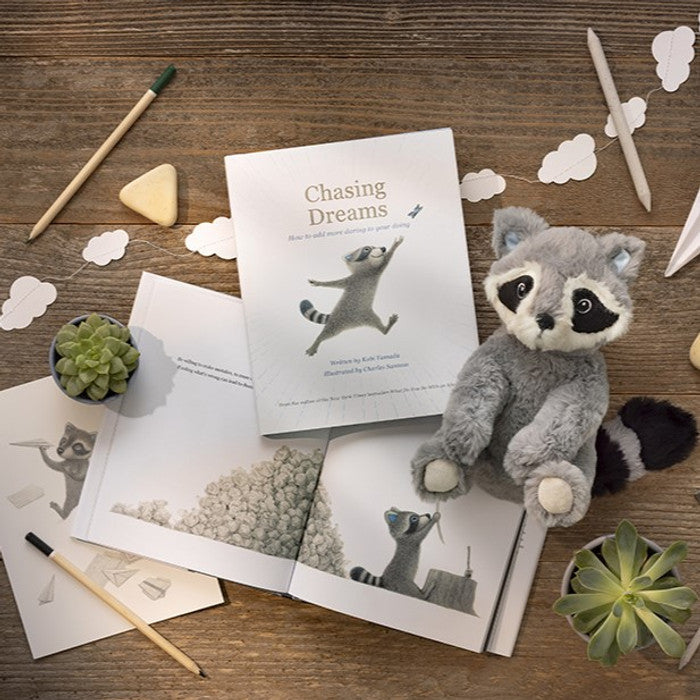 Chasing Dreams Raccoon Plush & Encouragement Gift Set