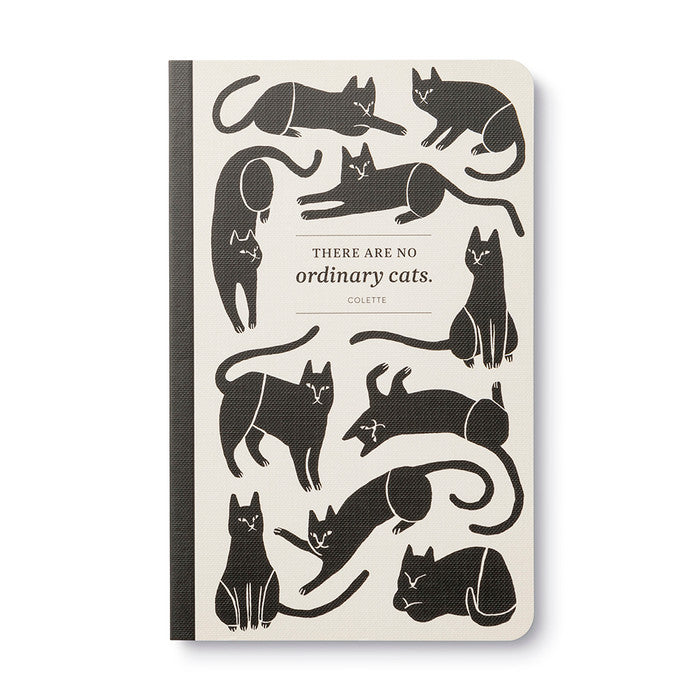 WRITE NOW JOURNAL NO ORDINARY CATS