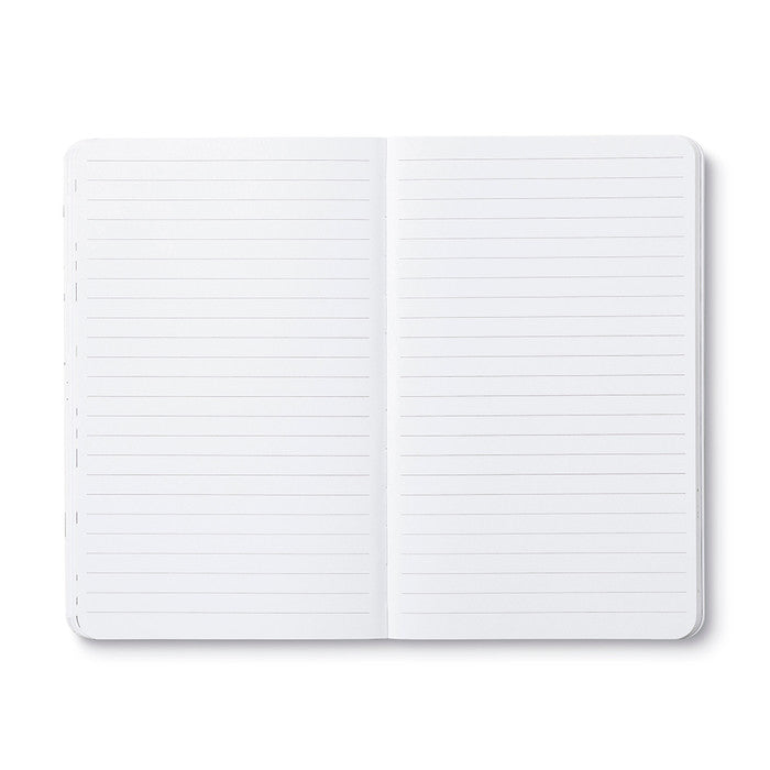 WRITE NOW JOURNAL NO ORDINARY CATS