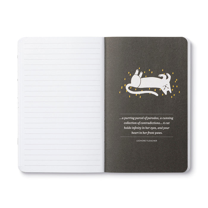 WRITE NOW JOURNAL NO ORDINARY CATS