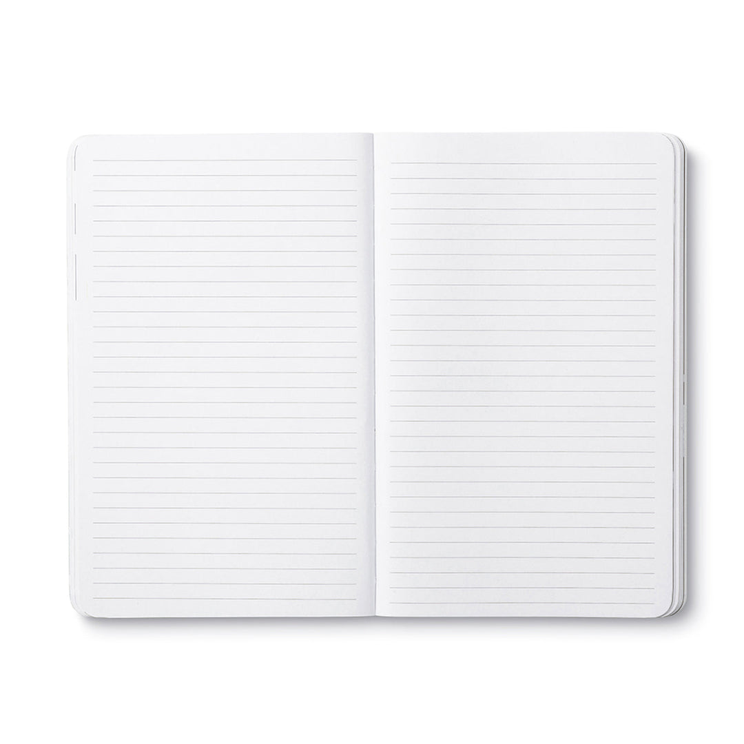 WRITE NOW JOURNAL DREAM BIG DARE TO FAIL