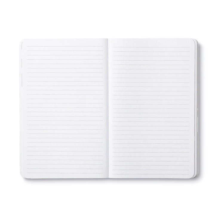 WRITE NOW JOURNAL DREAM BIG DARE TO FAIL