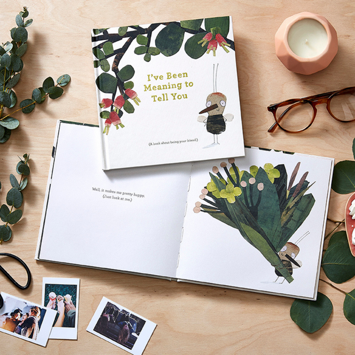 GIFT BOOK I'VE BEEN MEANING TO TELL YOU