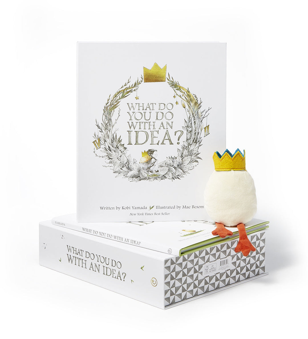 KIDS GIFT KIT WHAT DO YOU DO WITH AN IDEA?