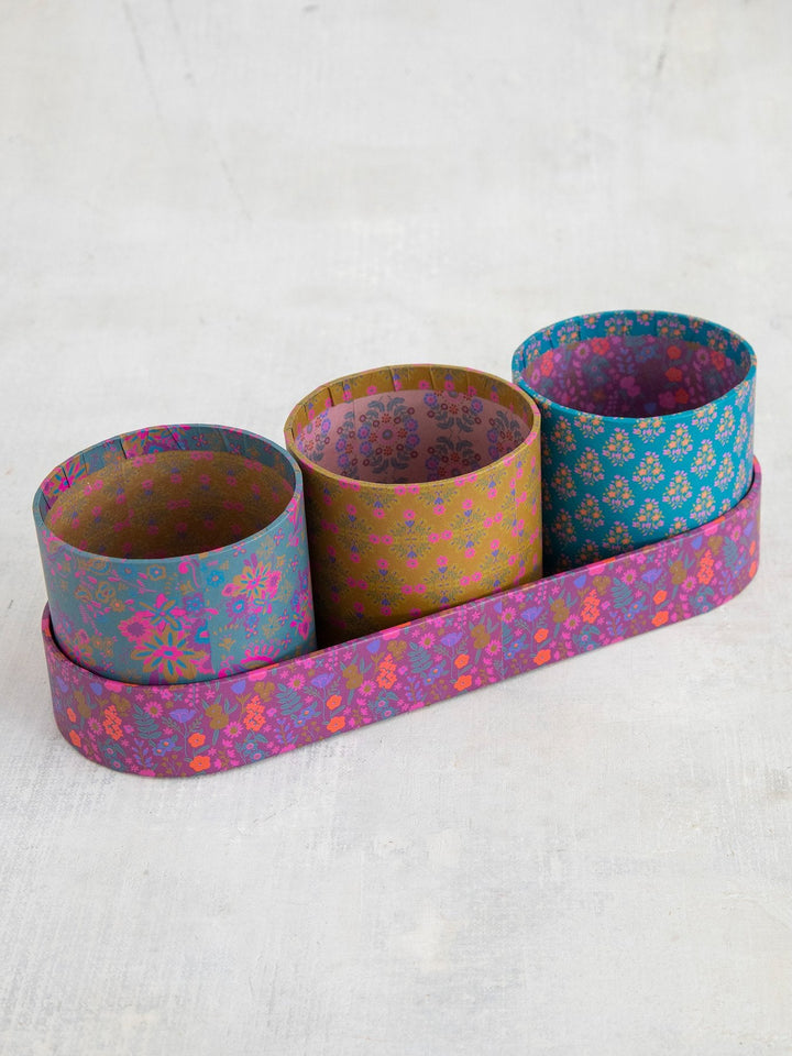 Organizer Set Multi