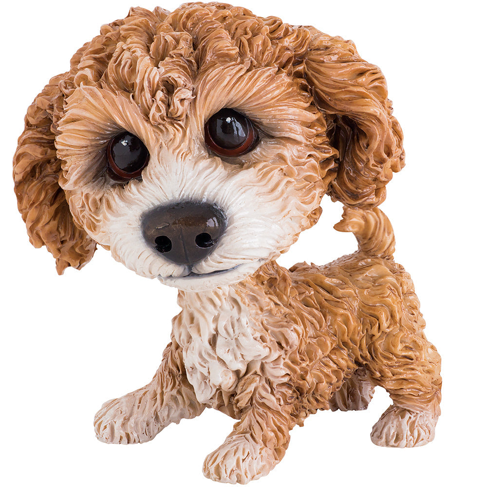 Collectable Molly Cavachon