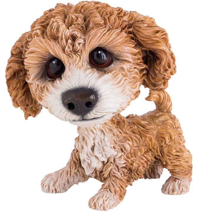 Collectable Molly Cavachon