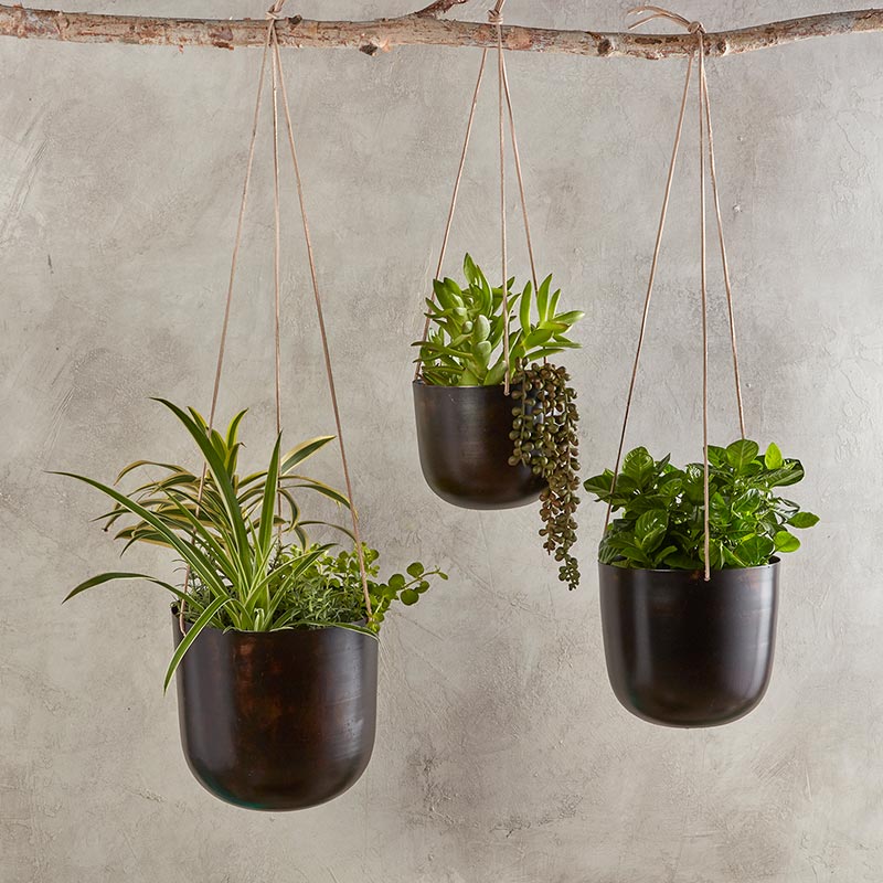 Hanging Metal Planter- LGE