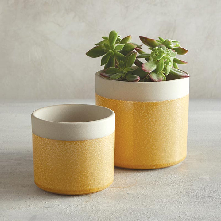 Yellow Two Tone Planter - SML