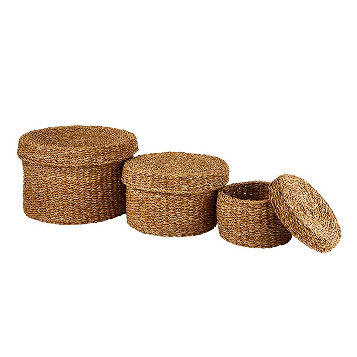 Seagrass Basket Set/3 with Lid