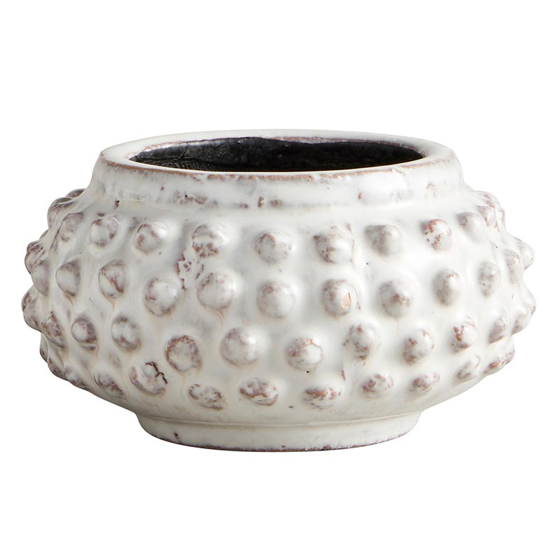 Dotty Planter - LGE