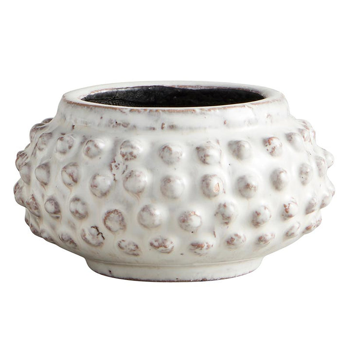 Dotty Planter - LGE