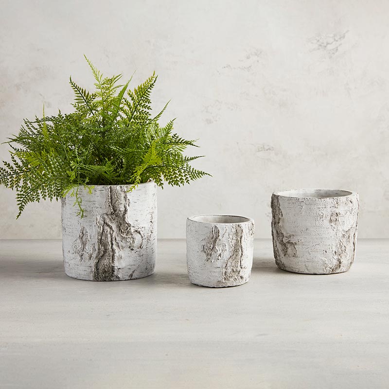 Bark Tree Planter - MED
