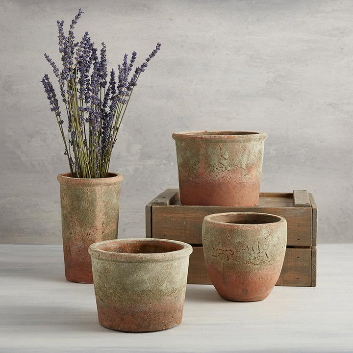 Terra-Cotta Antique Flower Pot - RND