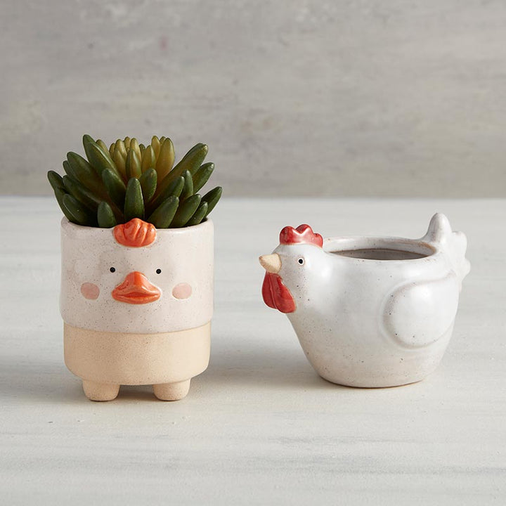 Chicken Face Planter