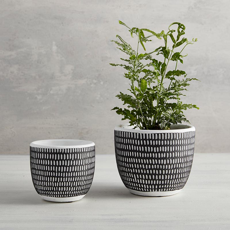 Pit Vertical Stripes Planter - SML