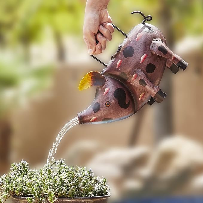 Iron Watering Can - Pig