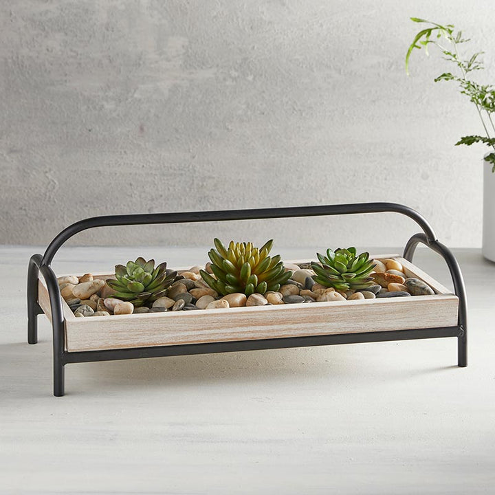 Succulent Holder