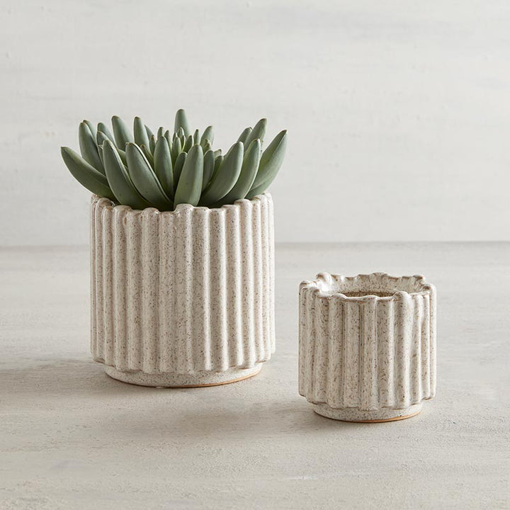 Lineal Pot - White SML