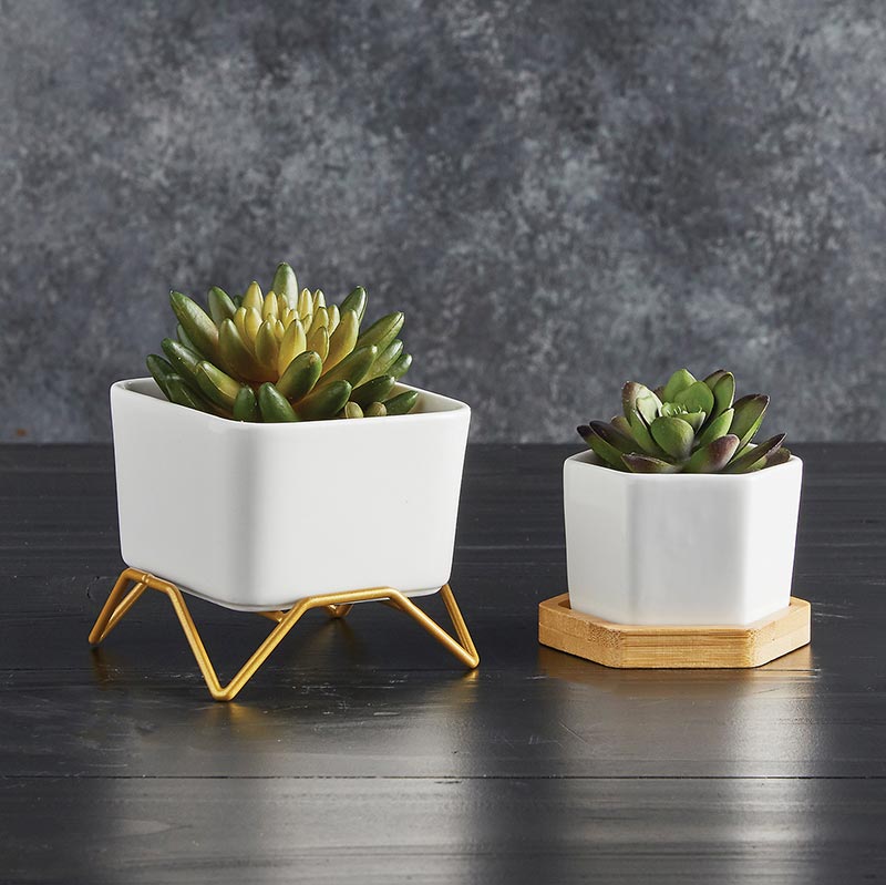 Square Pot w/Gold Stand