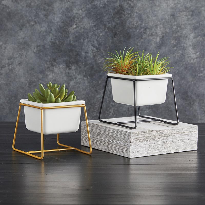 Square Pot w/Black Stand