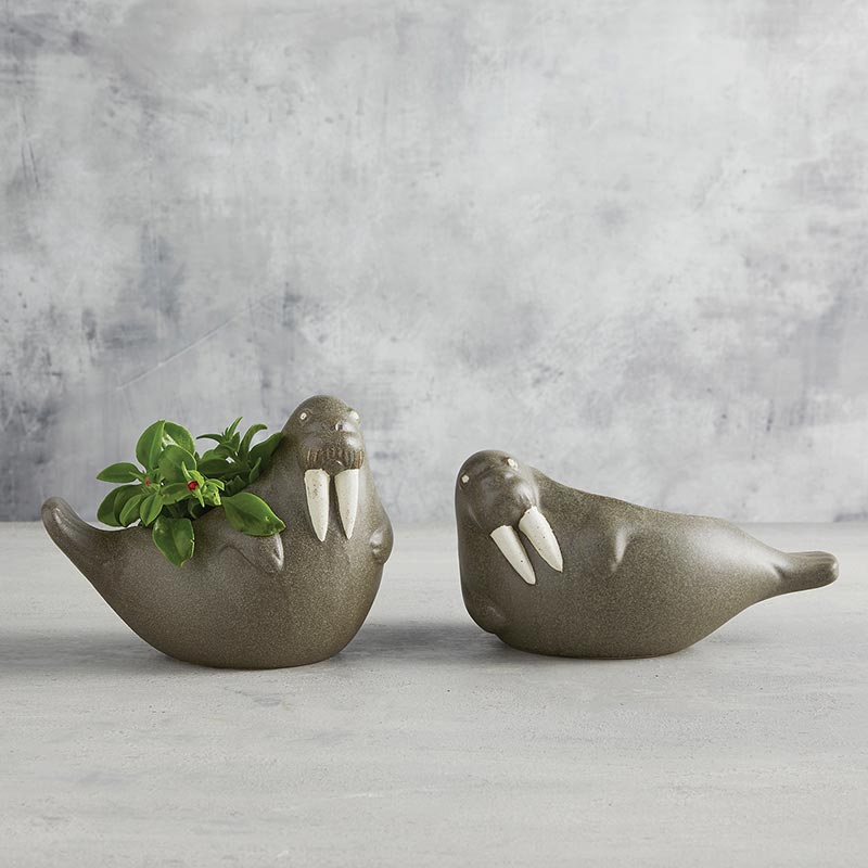 Ceramic Walrus Planter - Sitting