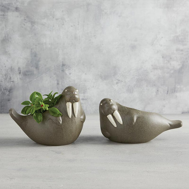 Ceramic Walrus Planter - Sitting