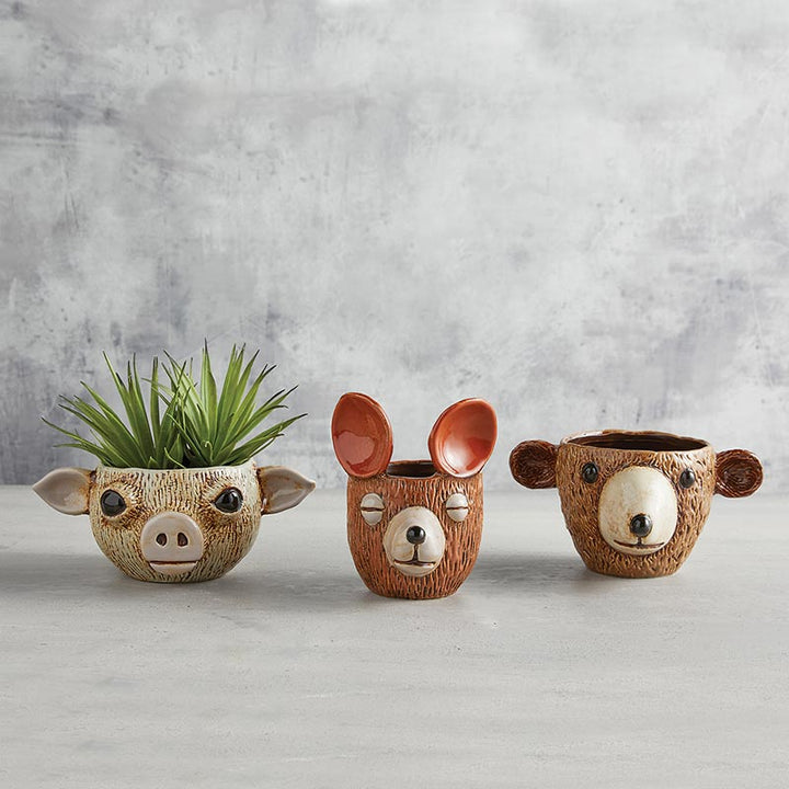 Bear Face Planter - SML