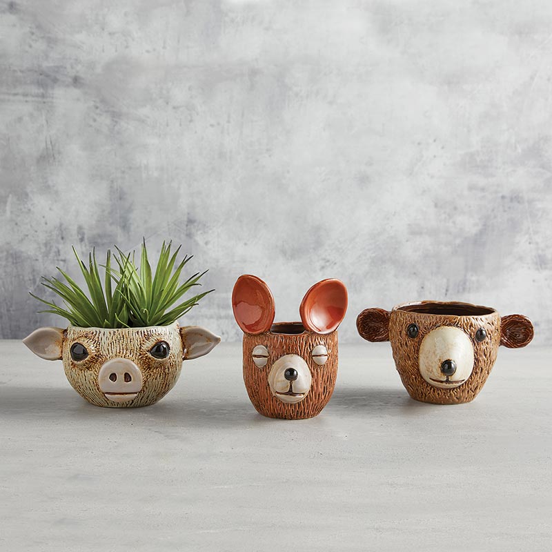 Pig Face Planter