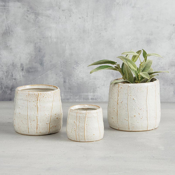 Striped Pot - MED