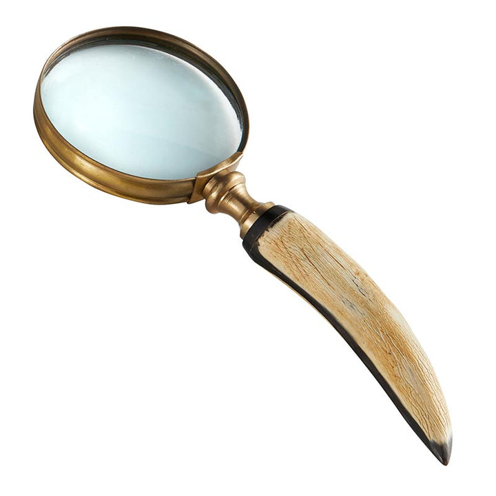 Tooth Magnifying Glass